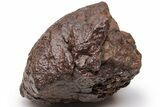 Chondrite Meteorite ( g) - Western Sahara Desert #226951-1